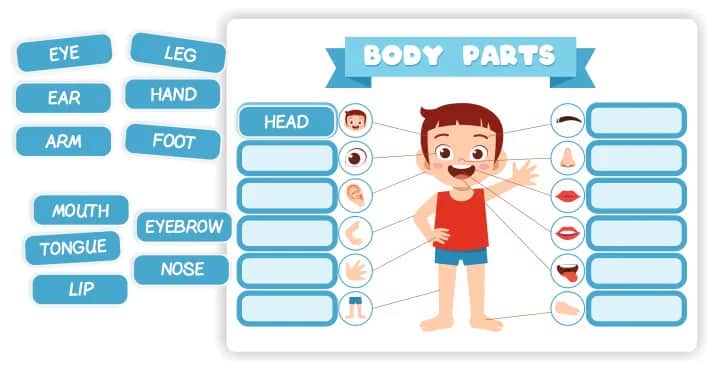 Skróty i terminy z "CIA" po angielsku - co warto wiedzieć o skrótach i terminach