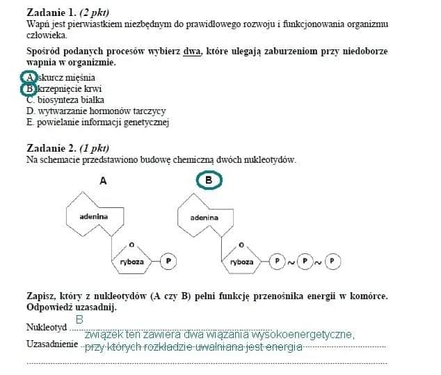 Czy matura z biologii jest trudna? Odkryj, co naprawdę czeka na Ciebie
