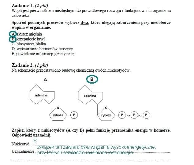 Czy matura z biologii jest trudna? Odkryj, co naprawdę czeka na Ciebie